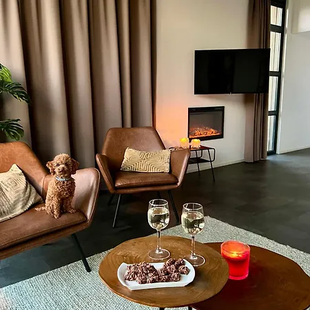 Enkhuizer Wellenreiter Zweite Reihe Haus Nr 213 Enkhuizen