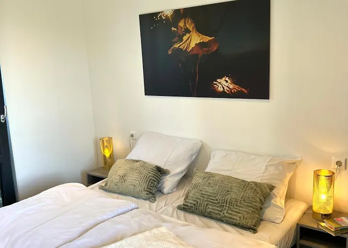 Enkhuizer Wellenreiter Zweite Reihe Haus Nr 213