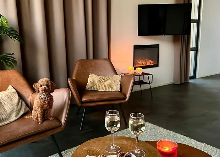 Enkhuizer Wellenreiter Zweite Reihe Haus Nr 213 恩克赫伊曾